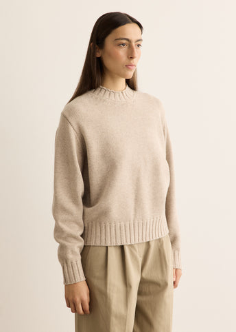 Unisex Chunky Roll Neck Sweater
