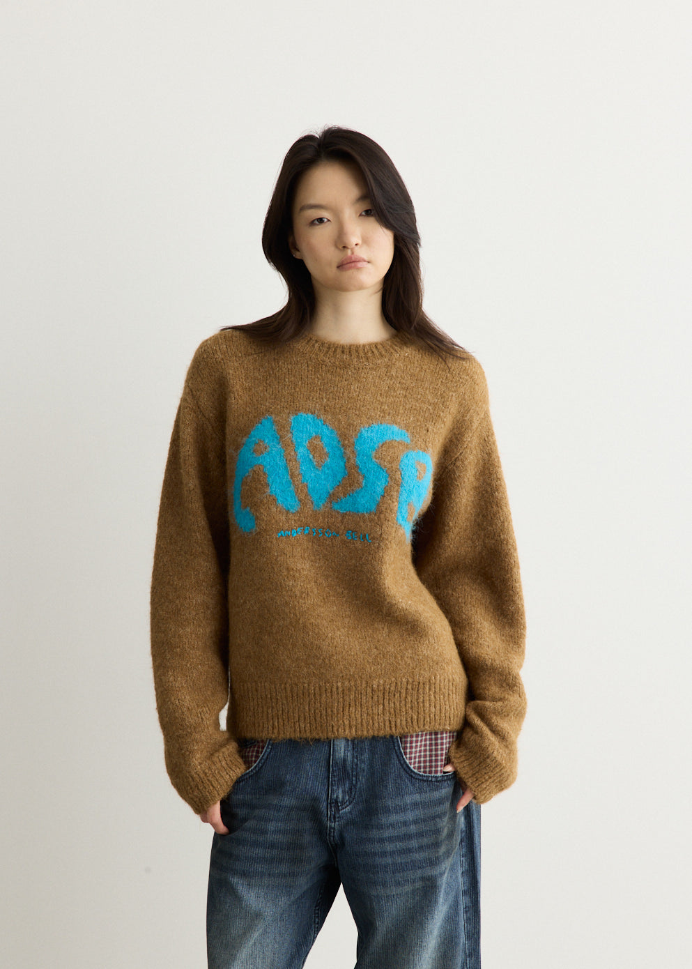 ADSB Intarsia Crew-Neck Sweater