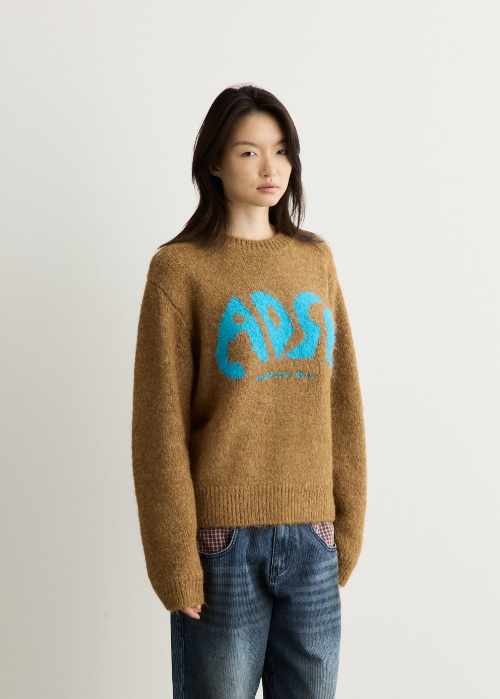 ADSB Intarsia Crew-Neck Sweater