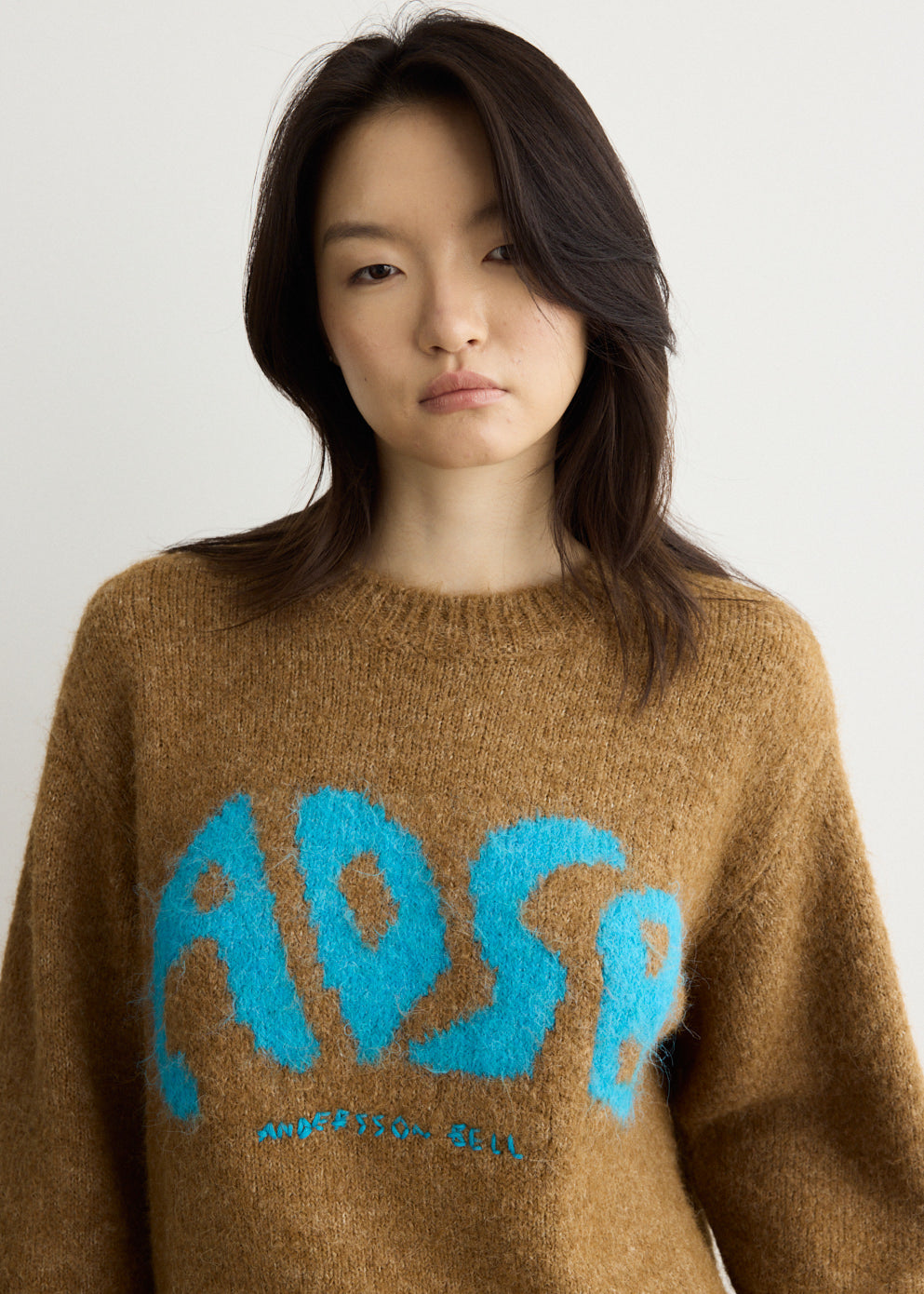ADSB Intarsia Crew-Neck Sweater