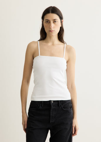 Scallop Tank