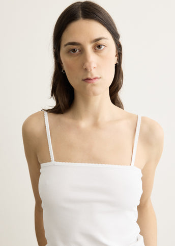 Scallop Tank