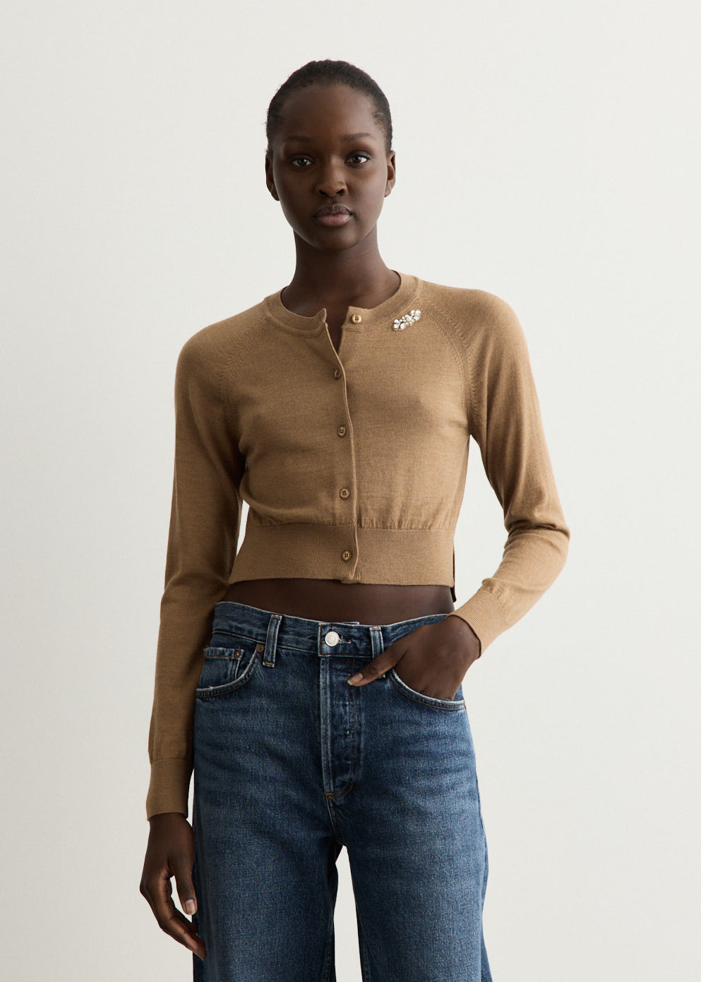 Embellished Cropped Merino Silk Cardigan