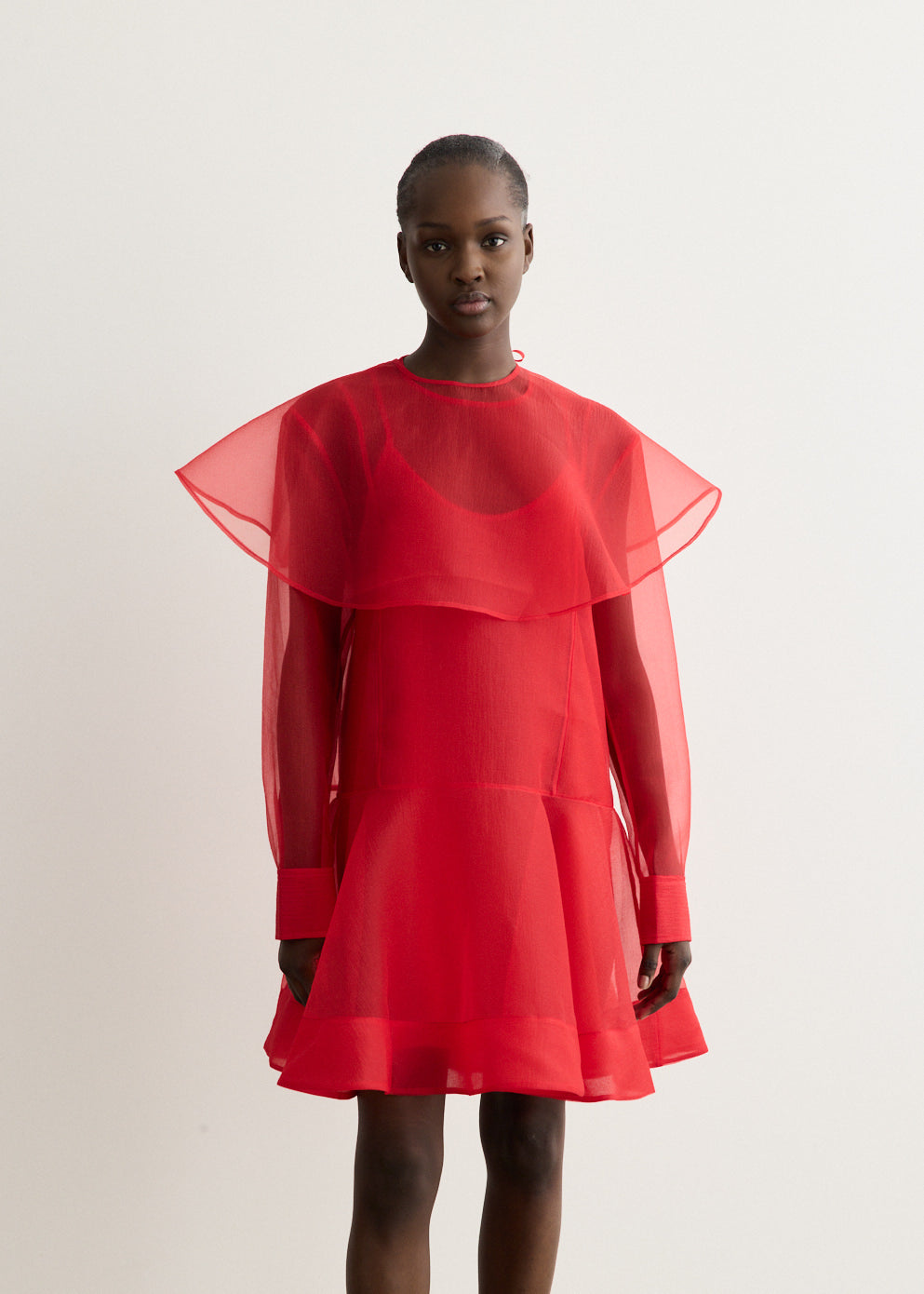 Textured Organza Mini Dress