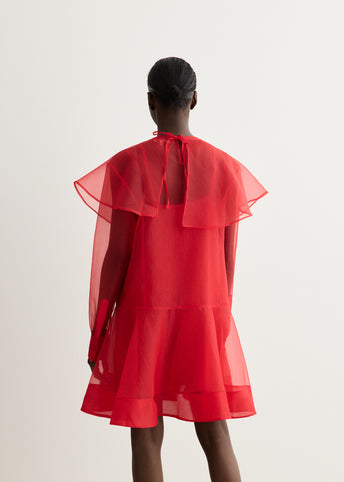 Textured Organza Mini Dress