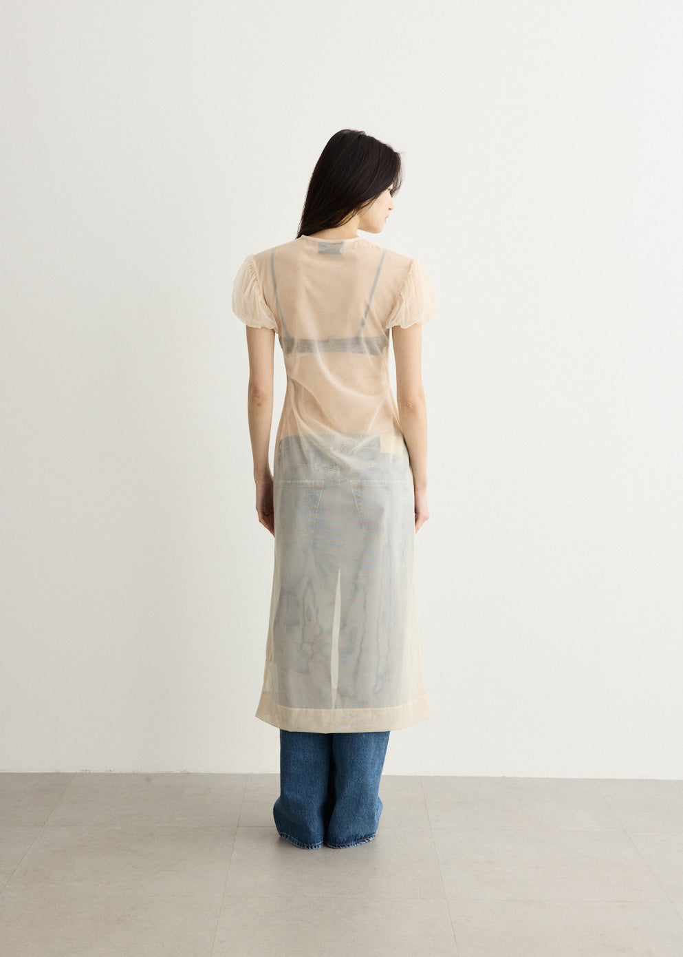 Sheer Puff Sleeve Column Dress