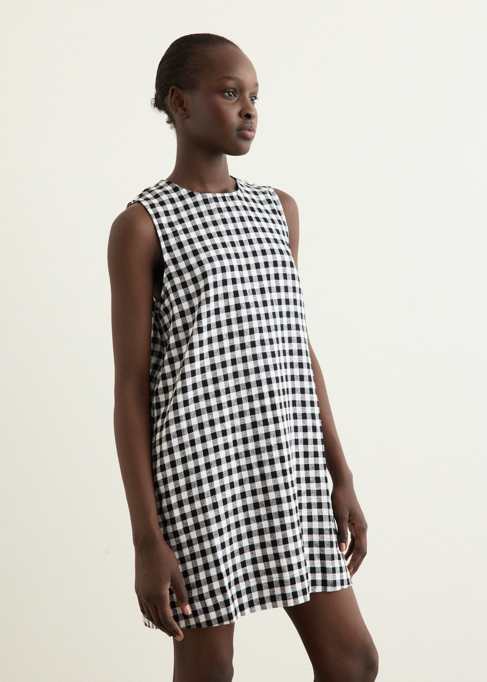 Indus Dress