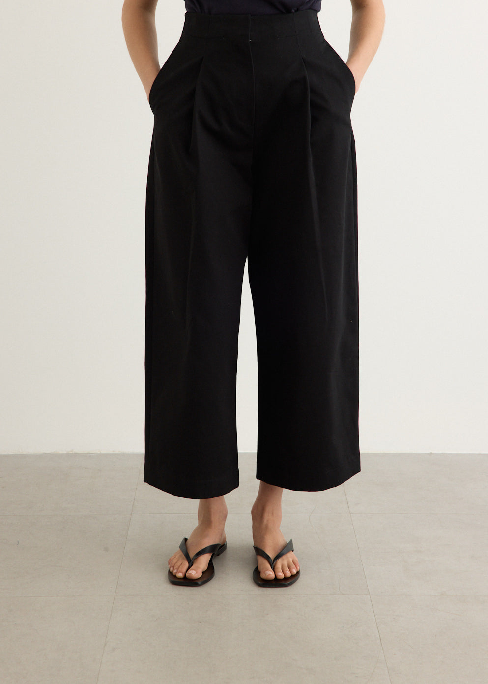 Deep Pleat Volume Ankle Crop Pants