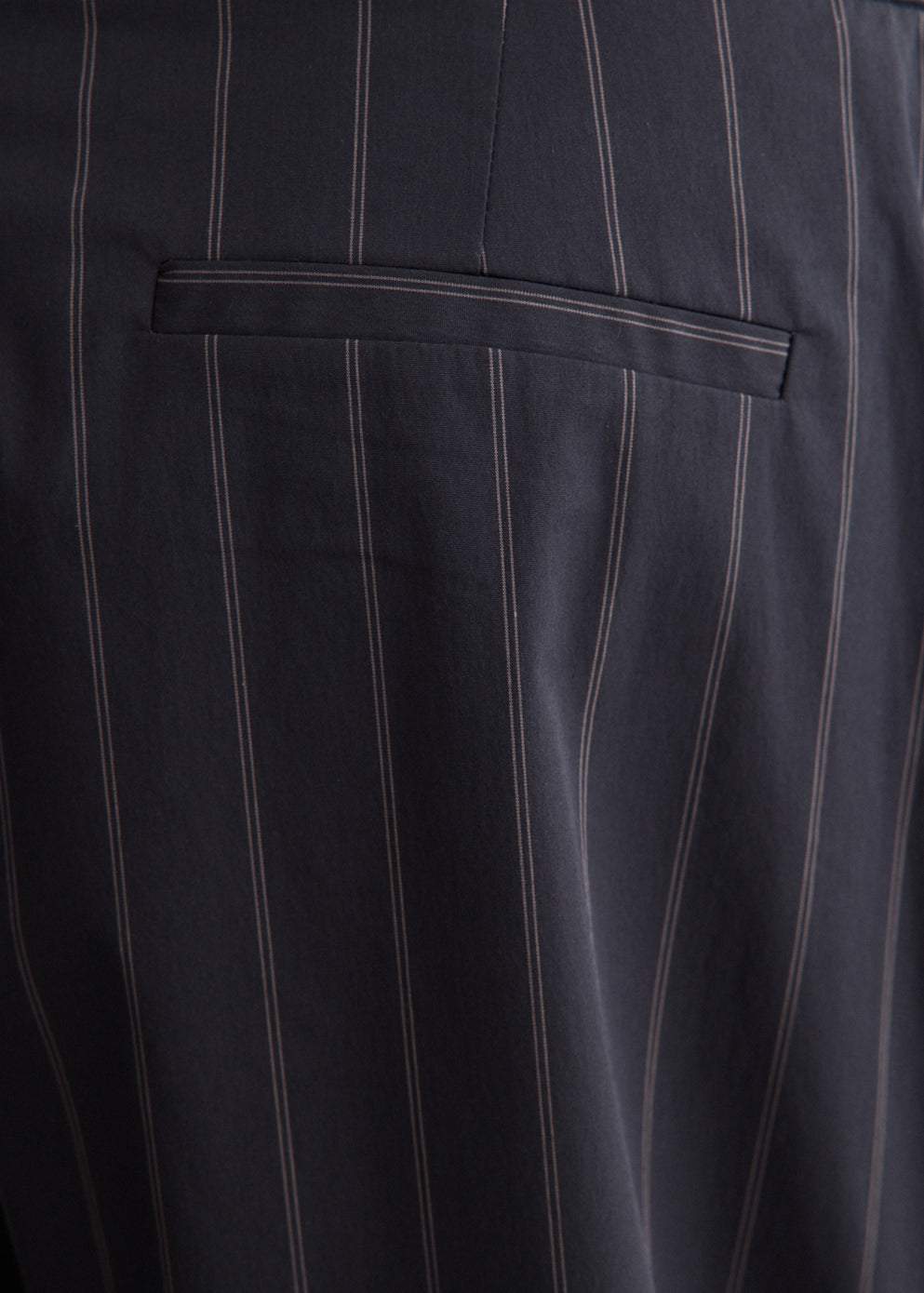 Stripe Relaxed Pleat Pants