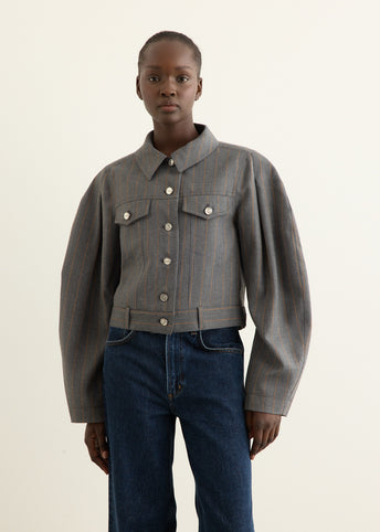 Brushed Wool Stripe Jacket