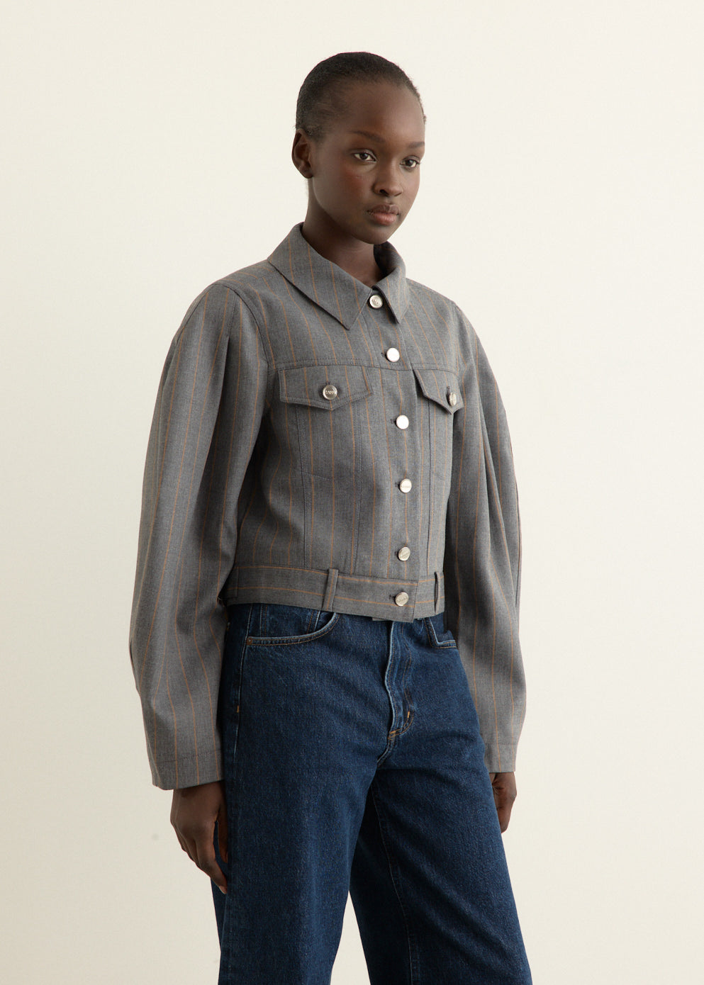 Brushed Wool Stripe Jacket
