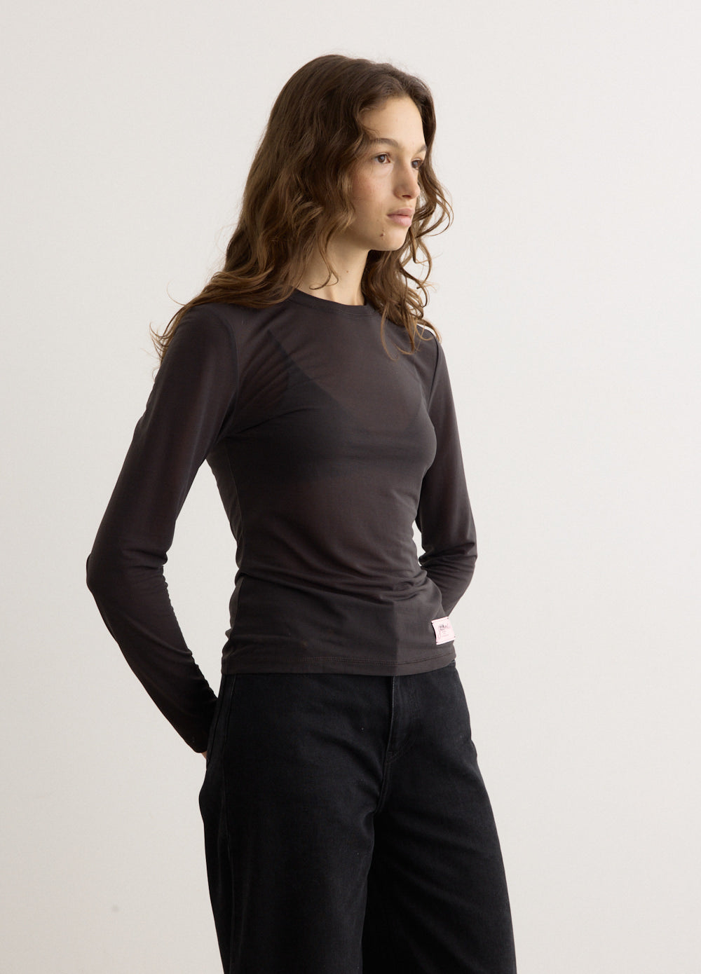 Sheer Mesh Jersey Long Sleeve Top