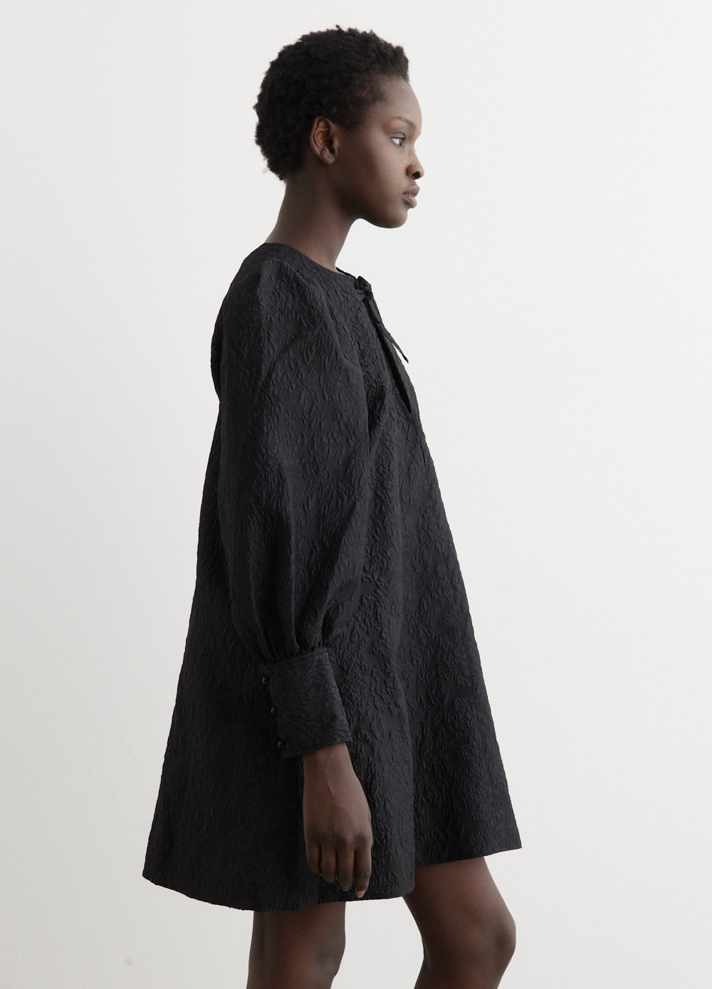 Organza A-shaped Mini Dress - Main Image