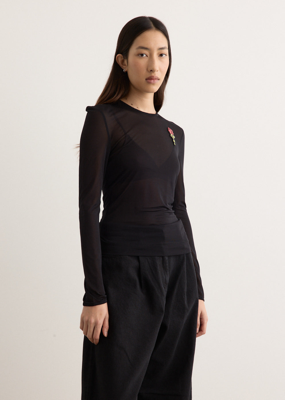 Sheer Fitted Ballet Mesh Top With Bip