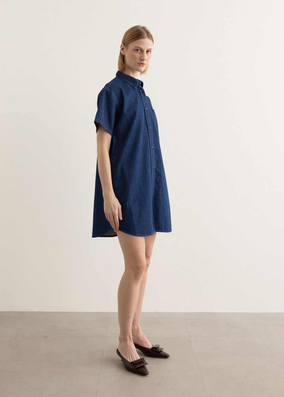 Ary Dress