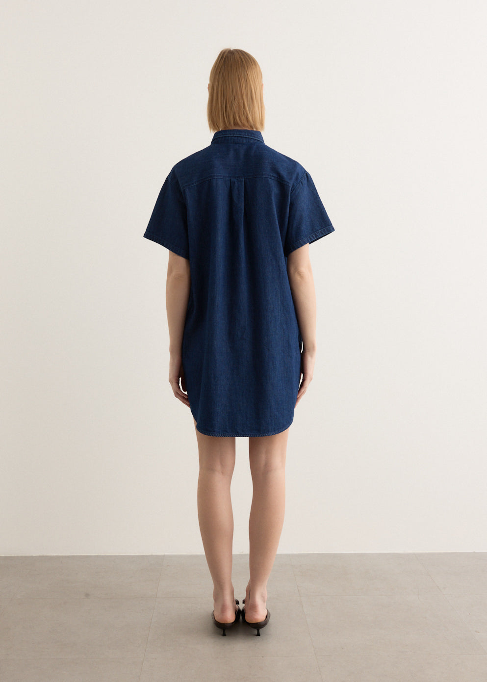 Ary Dress