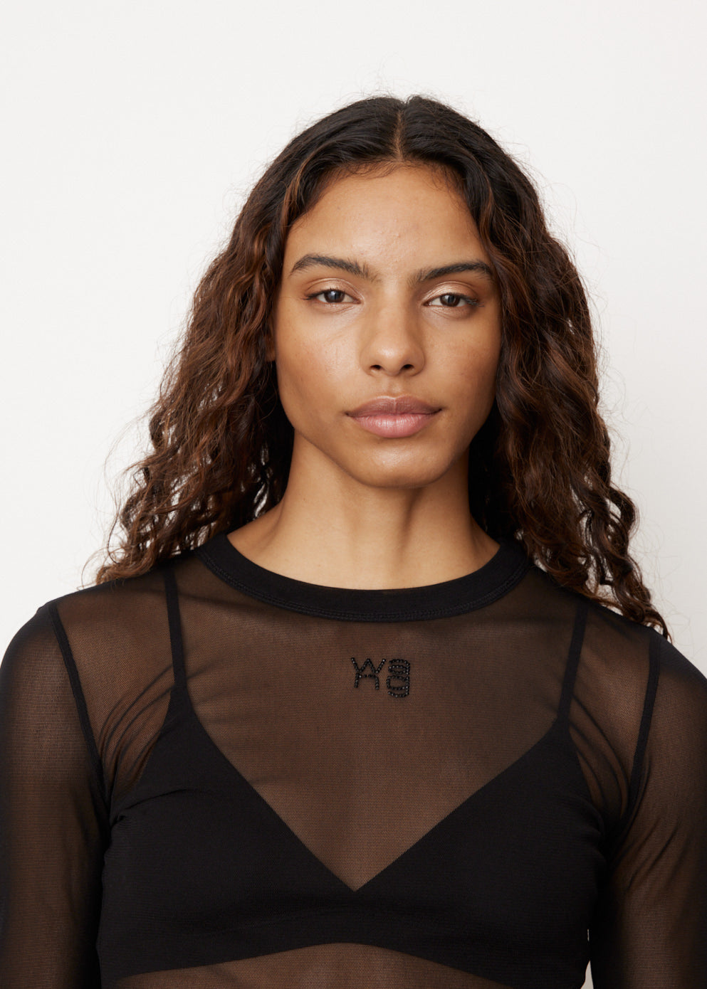 Gauzy Mesh Long Sleeve T-Shirt