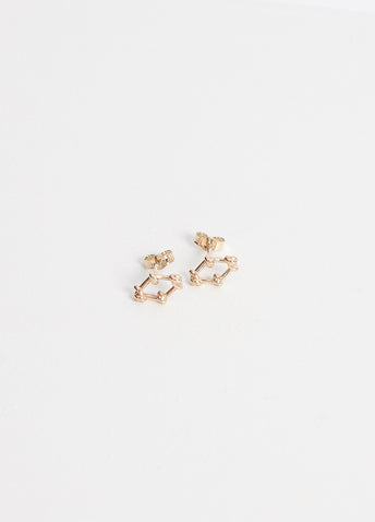 Net Earrings