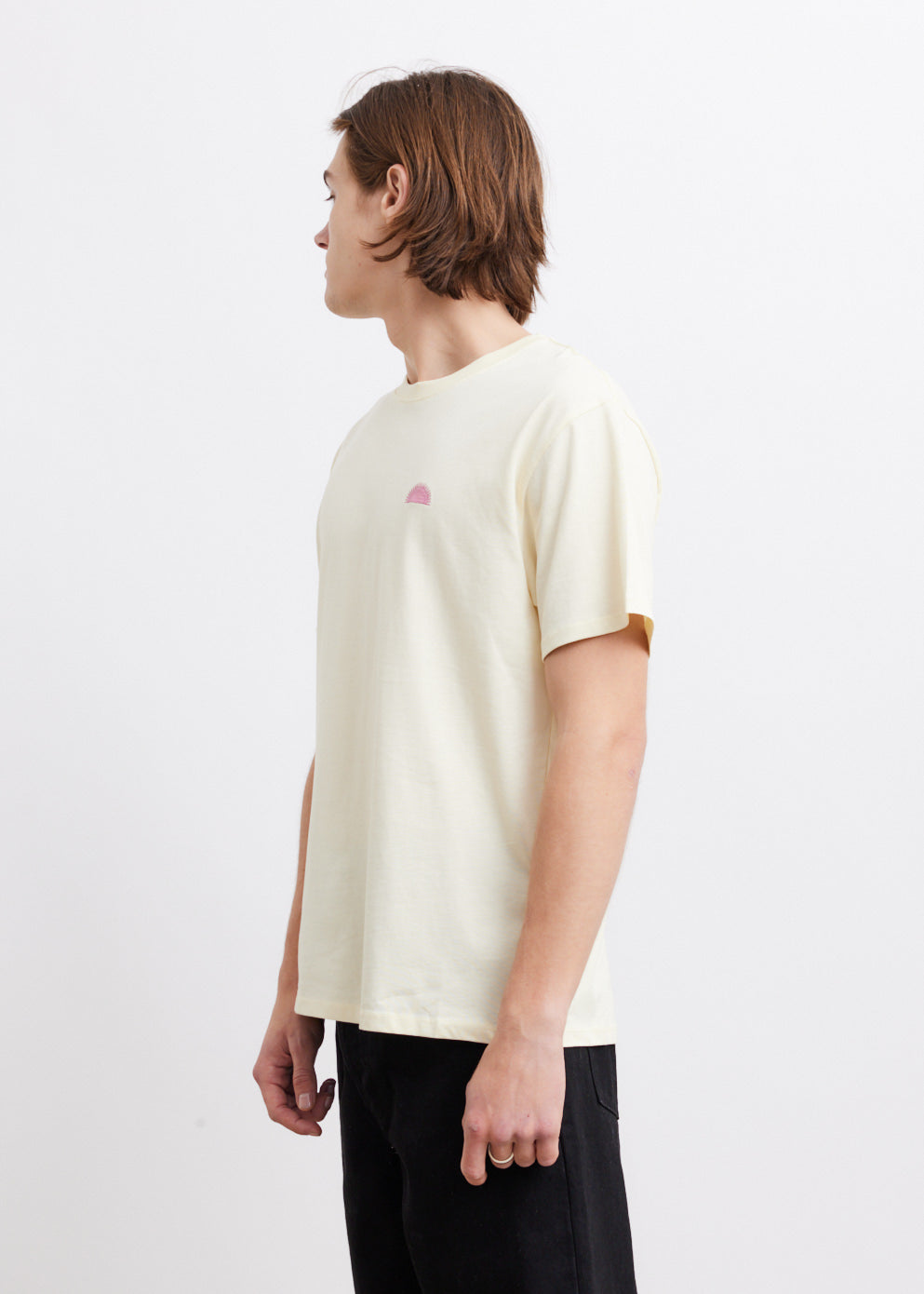 Fruitful Standard T-Shirt