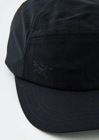 Elaho Cap