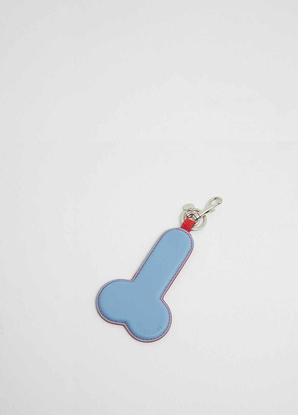 Anatomy Keyring