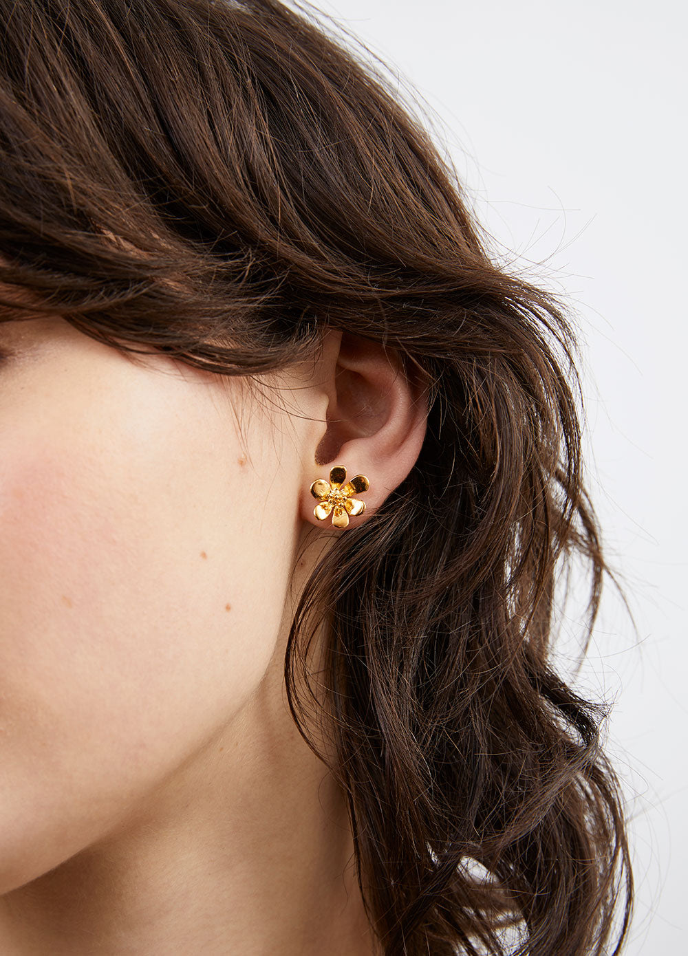 Clivia Studs