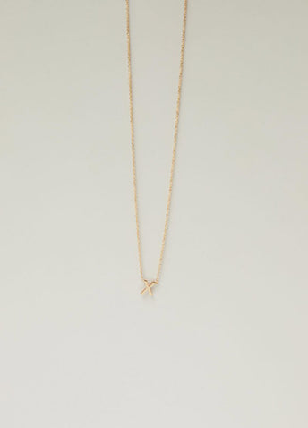 Petite Necklace X