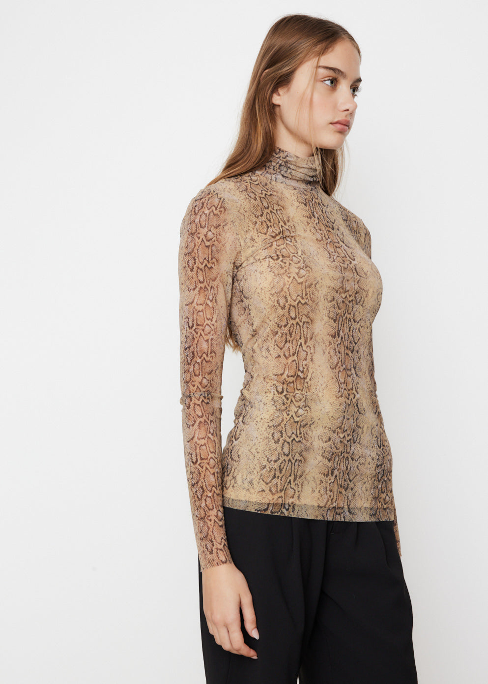 Printed Mesh Long Sleeve Fitted Rollneck Top
